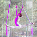 Suspension of Disbelief - Duo Silks
