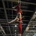 Suspension of Disbelief - Duo Trapeze
